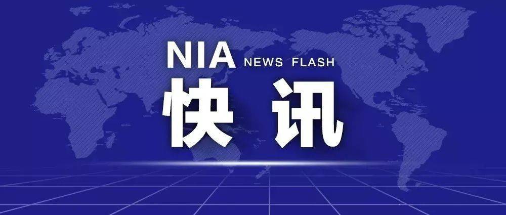 澳门管家婆100%精准香港,词语释义、专家解析解释与落实与警惕虚假宣传