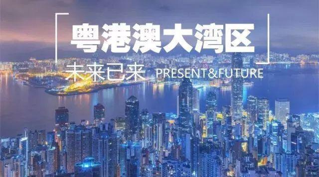 2025年新澳门和香港天天免费精准大全与新澳2025精准正版免费,全面释义与解答落实